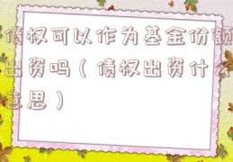 债权可以作为基金份额出资吗（债权出资什么意思）