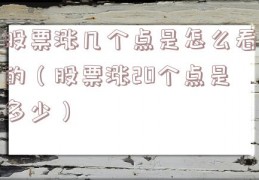 股票涨几个点是怎么看的（股票涨20个点是多少）