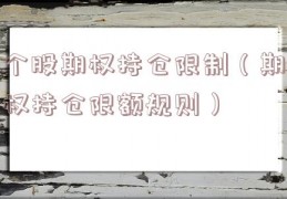 个股期权持仓限制（期权持仓限额规则）