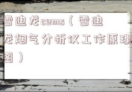 雪迪龙cems（雪迪龙烟气分析仪工作原理图）