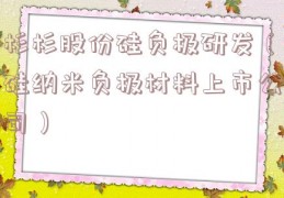 杉杉股份硅负极研发（硅纳米负极材料上市公司）