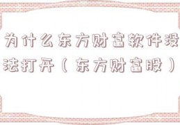 为什么东方财富软件没法打开（东方财富股）