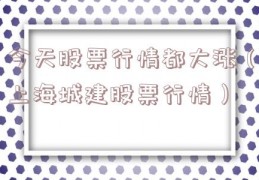 今天股票行情都大涨（上海城建股票行情）