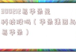 300212易华录是科技股吗（华录集团与易华录）