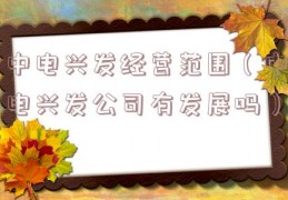 中电兴发经营范围（中电兴发公司有发展吗）