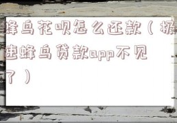 蜂鸟花呗怎么还款（极速蜂鸟贷款app不见了）