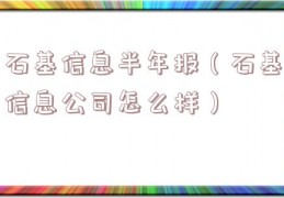 石基信息半年报（石基信息公司怎么样）