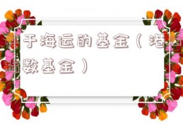 关于海运的基金（港口指数基金）