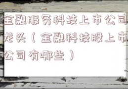 金融服务科技上市公司龙头（金融科技股上市公司有哪些）