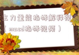 主力量能指标解释视频（macd指标视频）