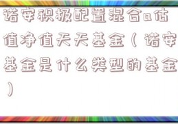 诺安积极配置混合a估值净值天天基金（诺安基金是什么类型的基金）
