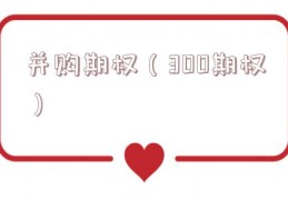 并购期权（300期权）