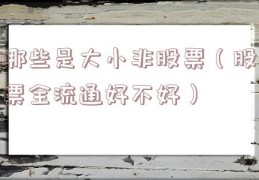 哪些是大小非股票（股票全流通好不好）