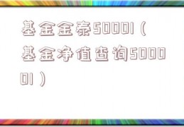 基金金泰50001（基金净值查询500001）