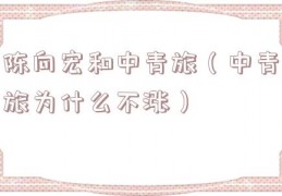 陈向宏和中青旅（中青旅为什么不涨）
