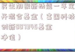 民生加银新动能一年定开混合基金（富国科技创新007345基金净值）