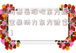 神州泰岳股吧东方财富（全柴动力东方财富股吧）