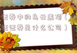 证券中的乌云盖顶（中证证券是什么公司）