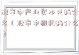 股市中产业资本是指什么（股市中机构指什么）