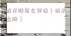 技术股怎么评估（技术占股）
