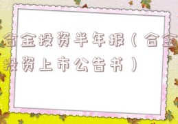 合金投资半年报（合金投资上市公告书）