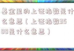 基金里的上证指数是什么意思（上证指数3500是什么意思）