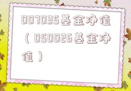 007035基金净值（050026基金净值）