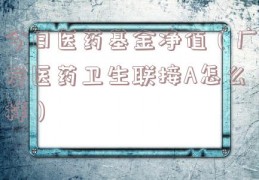 今日医药基金净值（广发医药卫生联接A怎么样）