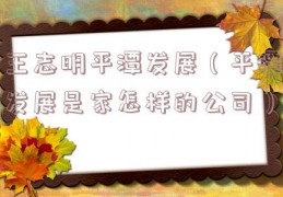王志明平潭发展（平潭发展是家怎样的公司）