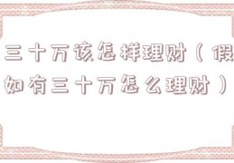 三十万该怎样理财（假如有三十万怎么理财）
