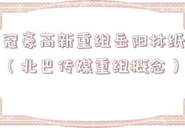 冠豪高新重组岳阳林纸（北巴传媒重组概念）