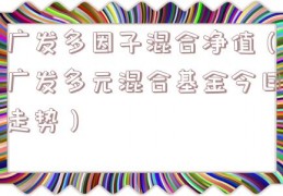 广发多因子混合净值（广发多元混合基金今日走势）