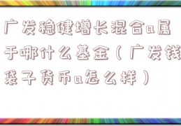 广发稳健增长混合a属于哪什么基金（广发钱袋子货币a怎么样）