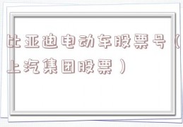 比亚迪电动车股票号（上汽集团股票）