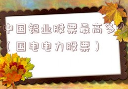 中国铝业股票最高多少（国电电力股票）