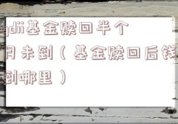 qdii基金赎回半个月未到（基金赎回后钱到哪里）