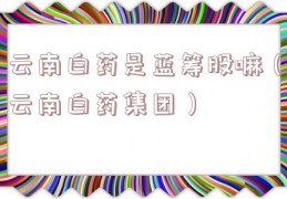 云南白药是蓝筹股嘛（云南白药集团）