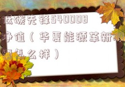 低碳先锋540008净值（华夏能源革新股票怎么样）