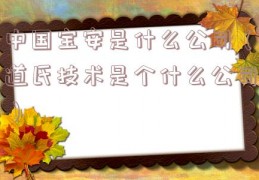 中国宝安是什么公司（道氏技术是个什么公司）