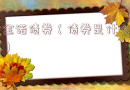 金诺债券（债券是什么）