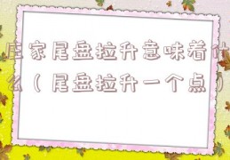 庄家尾盘拉升意味着什么（尾盘拉升一个点）