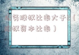 债务股权比率大于2（股权资本比率）