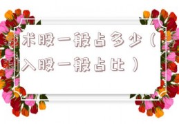 技术股一般占多少（专利入股一般占比）
