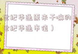 世纪华通原来干嘛的（世纪华通市值）