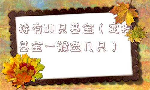 持有20只基金(定投基金一般选几只) 持有20只基金(定投基金一般选几只)