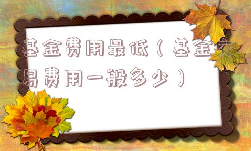 基金费用最低（基金交易费用一般多少）
