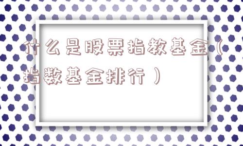 什么是股票指教基金（指数基金排行）