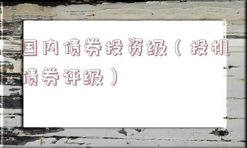 国内债券投资级（投机债券评级）