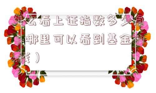 怎么看上证指数多少点(哪里可以看到基金的k线) 怎么看上证指数多少点(哪里可以看到基金的k线)