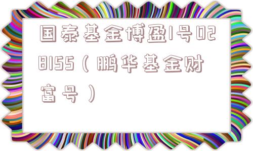 国泰基金博盈1号028155(鹏华基金财富号) 国泰基金博盈1号028155(鹏华基金财富号)